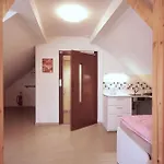 Penzion V Podzamci - Bezbarierove Apartmany V Centru Trebone Třeboň