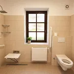 Penzion V Podzamci - Bezbarierove Apartmany V Centru Trebone Vendégház