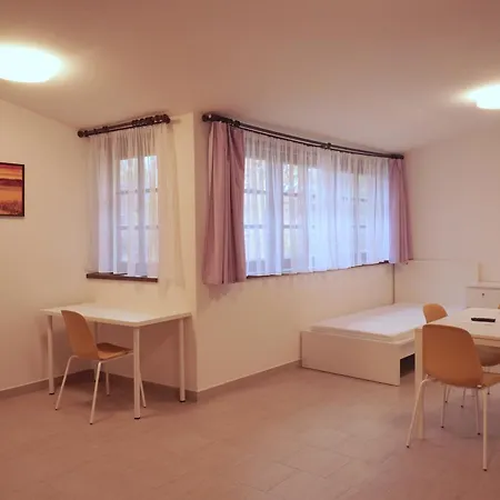 V Podzamci Pensionat 4*