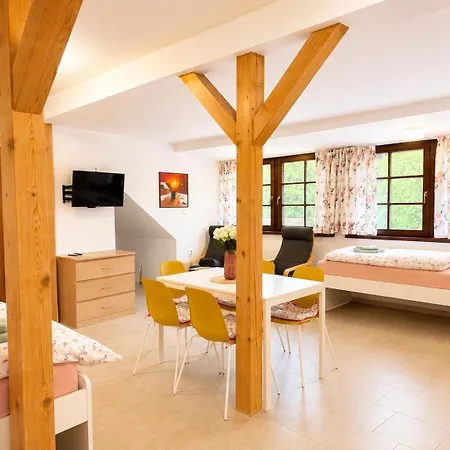 V Podzamci - Bezbarierove V Centru Trebone 4*
